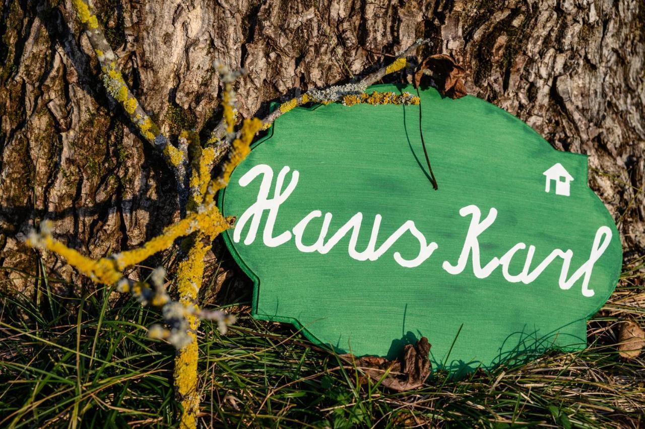 Haus Karl Apartment Ebensee Ngoại thất bức ảnh